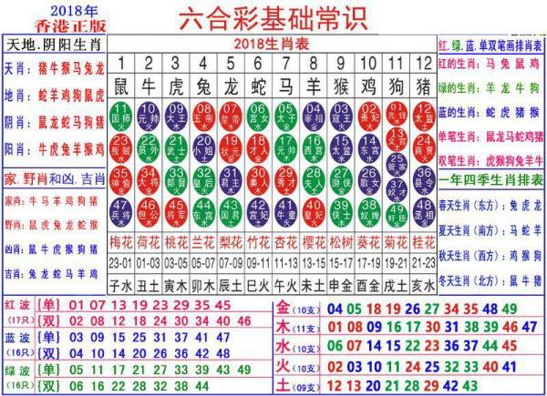 澳门跟香港正版资料大全资料生肖卡|详细解答、解释与落实