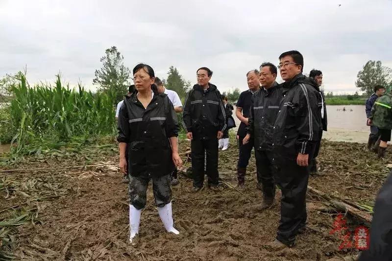 台风广东8月最新信息，一场风雨中的坚守与应对