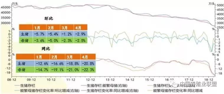 猪价今日猪肉最新价格，市场波动背后的原因与影响分析