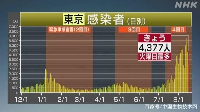 日本疫情最新情况，东京的挑战与应对策略