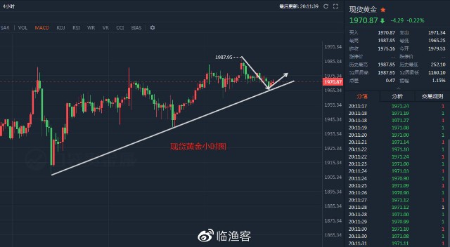 白银TD最新行情分析，市场趋势、影响因素及投资策略