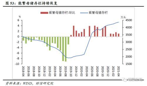 乐至房价最新消息，市场趋势、影响因素及未来展望