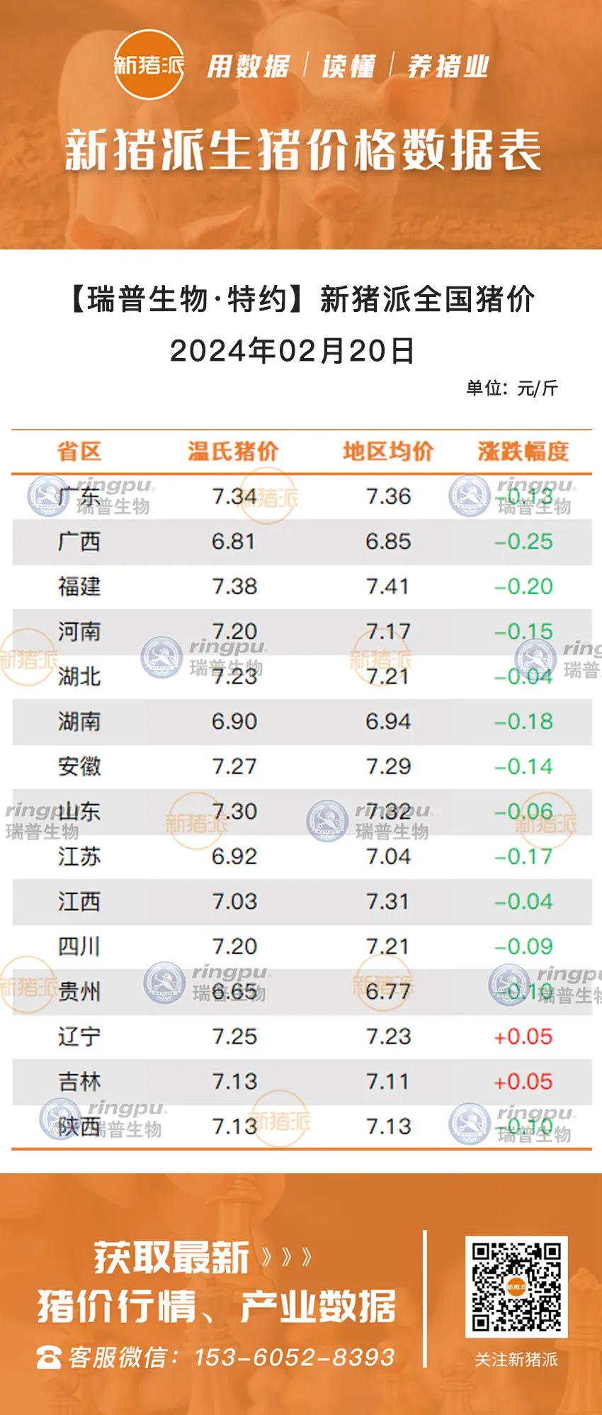 毕节今日猪价最新行情