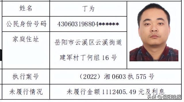 岳阳市最新老赖现象探析