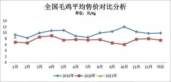 白羽鸡肉价格最新价格，市场趋势、影响因素及未来展望