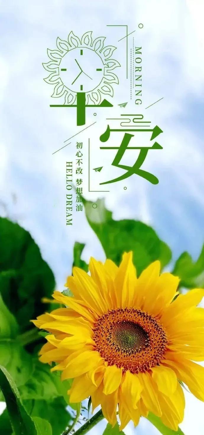 2019最新的早安图片，唤醒一天的灵感与希望