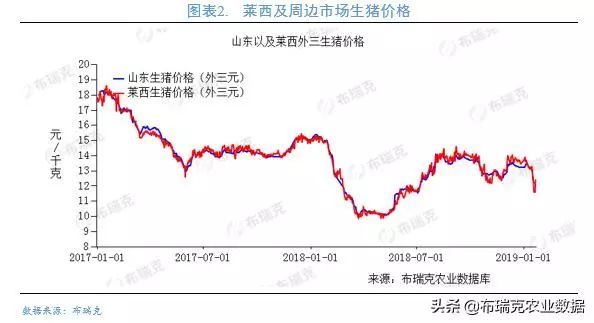 全国猪价最新报价行情，市场波动与未来趋势分析