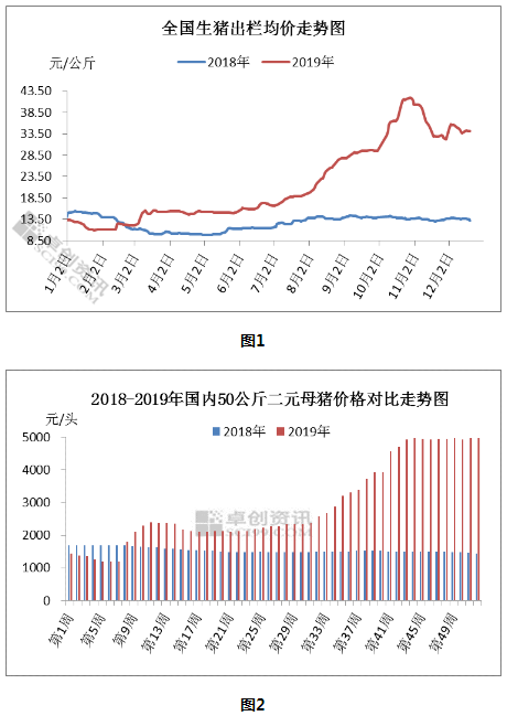 二元母猪价格最新，市场趋势、影响因素及未来展望