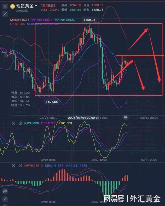 外汇走势最新消息，全球金融市场动态与策略分析