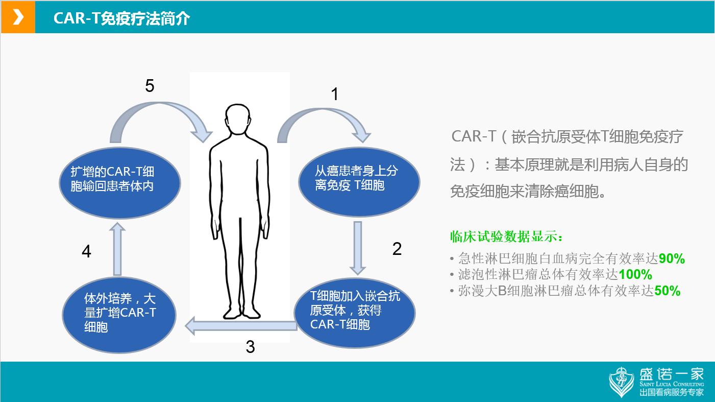 探索未来医疗的奇迹，最新T细胞免疫疗法