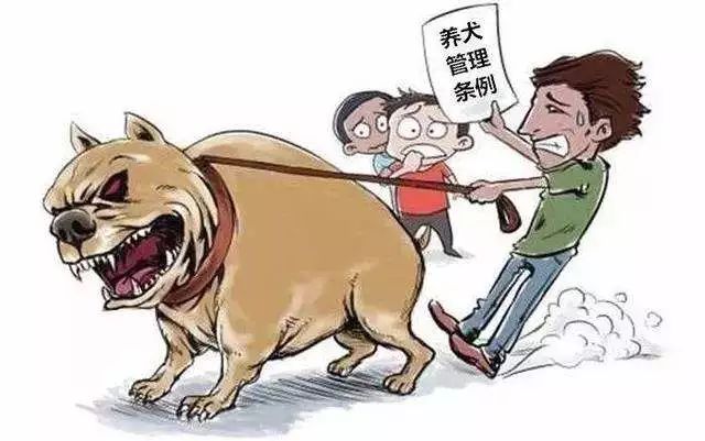 文明养犬的最新规定，构建和谐社会，从犬只管理开始