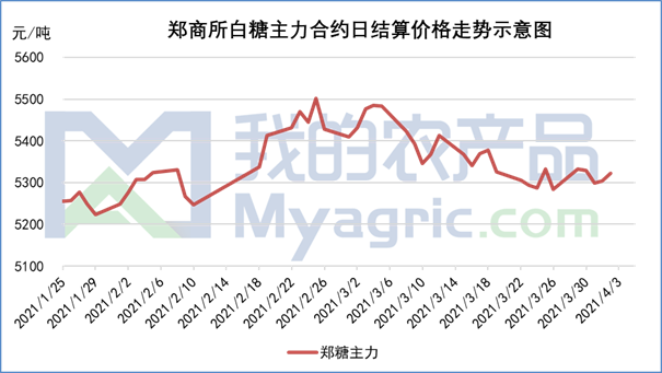 白糖最新现货价格动态与市场分析